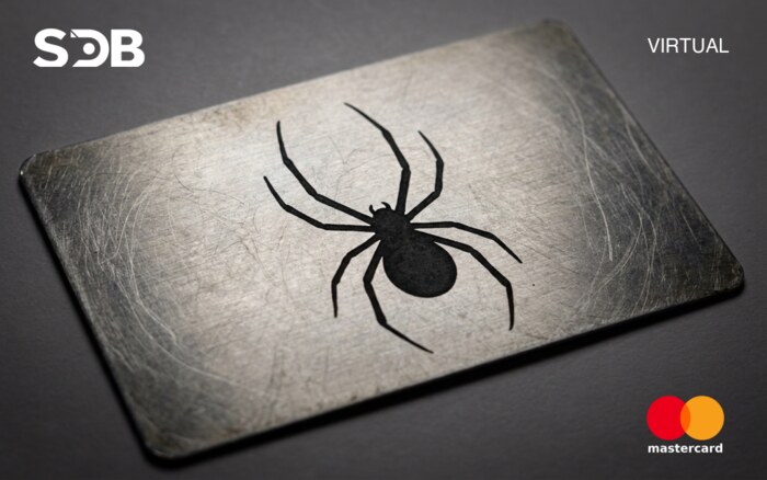 SDB Mastercard design