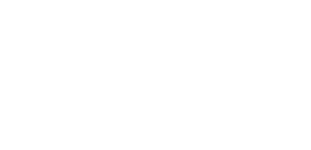 SDB Wallet Logo — White (PNG)